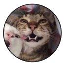 尤雨河的个人资料头像