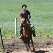 qushiba的个人资料头像