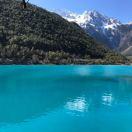 ZC的个人资料头像