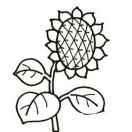 VeniVidiVici的个人资料头像