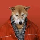 Alone酱67191的个人资料头像