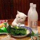 1在掘金67202的个人资料头像