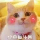 翻过那座山就是菩提洞的个人资料头像