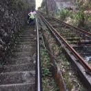 matthewmak的个人资料头像