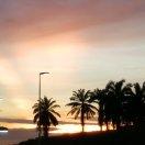 十里春风不及你的个人资料头像