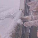 Iris同志67250的个人资料头像