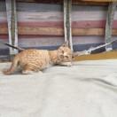 张靖的个人资料头像