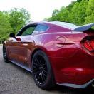 百乐科技的个人资料头像