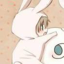 飞奔的小核桃的个人资料头像