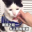 他反手XX_危险的就是你的个人资料头像