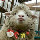 AOWU67330的个人资料头像