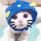 Fengava的个人资料头像