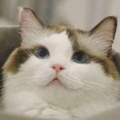 SSS酱67340的个人资料头像