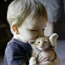 盛夏的礼赞的个人资料头像