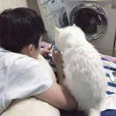 demo爱学习67382的个人资料头像