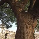 久不联系常在心中的个人资料头像