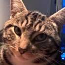 HemingJames的个人资料头像