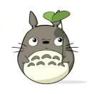 爱睡觉的大熊本尊的个人资料头像