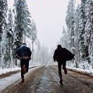 郭瑞爱学习67465的个人资料头像