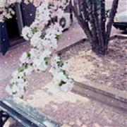 哥有腿毛嗳昬的个人资料头像