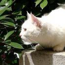 Bian的个人资料头像