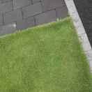 Scala的个人资料头像