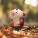 爱学习的个人资料头像