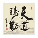 天空同学67520的个人资料头像