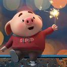 dream113的个人资料头像