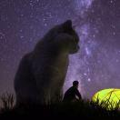 牧码人君67555的个人资料头像