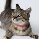 陈阵的个人资料头像