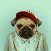 db85cb39419211e983ee5b4f614eb33d的个人资料头像