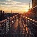 喵了个咪君67595的个人资料头像