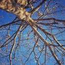 高玉峰的个人资料头像