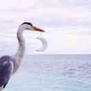 赫重名了67635的个人资料头像