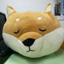 篮孩的个人资料头像