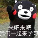 木月就是我的个人资料头像