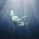 moon酱67646的个人资料头像