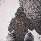 Zhong同学的个人资料头像