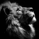 道浅庸翁的个人资料头像