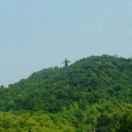 scott爱学习67682的个人资料头像