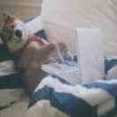 简单一点就好的个人资料头像