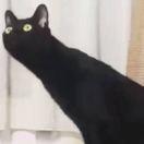 记忆旅行的个人资料头像