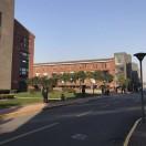 AlexLhg的个人资料头像