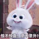 喵小懒的个人资料头像