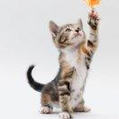 Hong本尊67766的个人资料头像