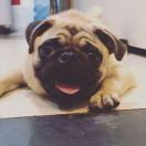 Ruby本尊的个人资料头像