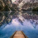 张明荣的个人资料头像