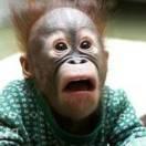 爱学习的个人资料头像