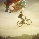 Dandy的个人资料头像